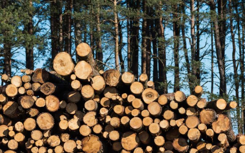 Logs